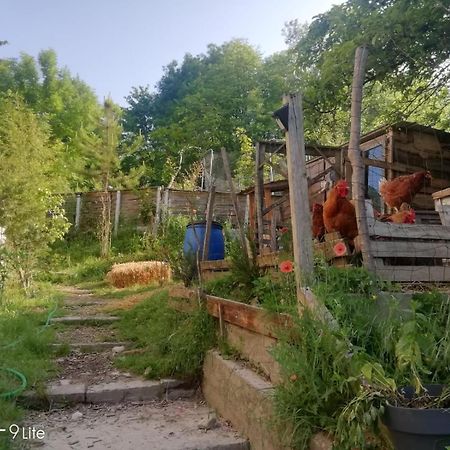 La Cabane Des Trappeurs Crépy-en-Valois Eksteriør bilde